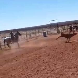 Meet your Posher, Kaden